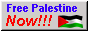 Free Palestine Now!!!